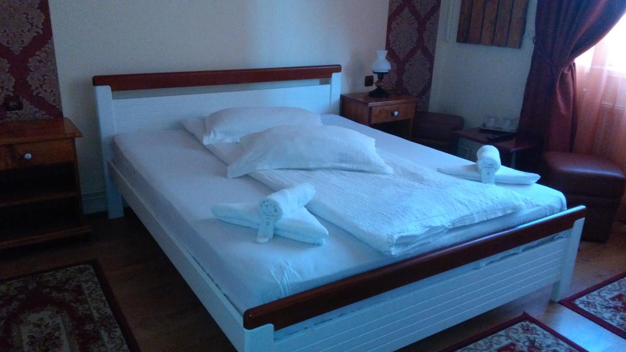 Vila Nicoleta Hotel Sibiu Luaran gambar