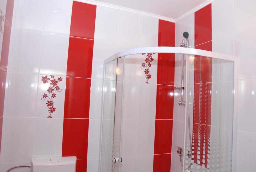 Vila Nicoleta Hotel Sibiu Luaran gambar