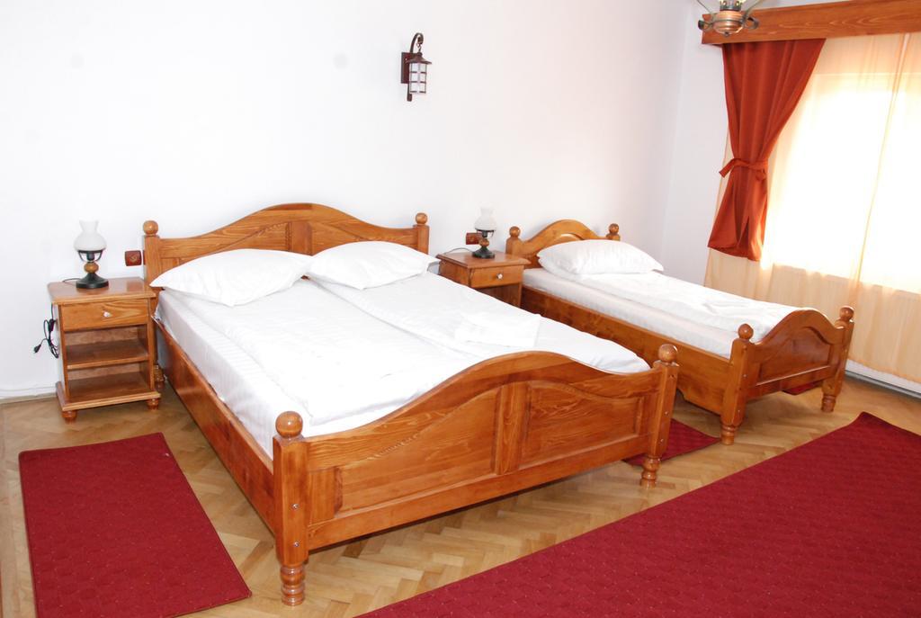 Vila Nicoleta Hotel Sibiu Luaran gambar